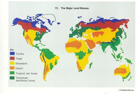 world biomes map   biome utlr dnews