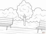 Coloring Park Pages Tree Trees Public Drawing sketch template