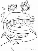 Nemo Dory Whale sketch template