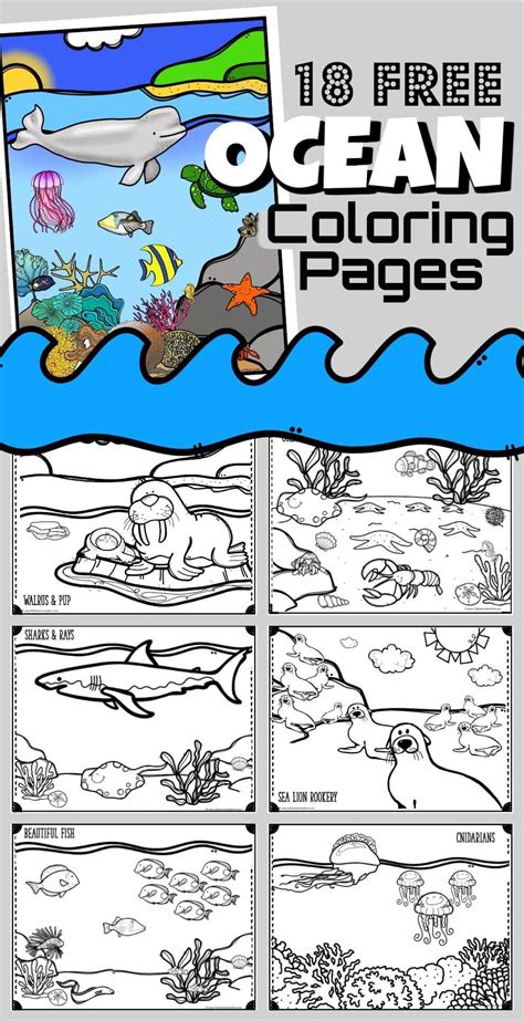 ocean coloring pages easy coloring pages animal coloring pages