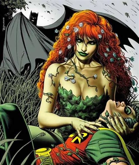 303 Best Images About Catwoman And Poison Ivy On Pinterest Gotham