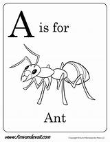 Ant Coloring Preschool Alphabet Pages Printables Kids Book Printable Letter Worksheets Color Timvandevall Colouring Ants Preschoolers Christian Adult Apple Activities sketch template