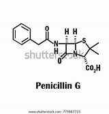 Penicillin Structure Chemical Shutterstock sketch template