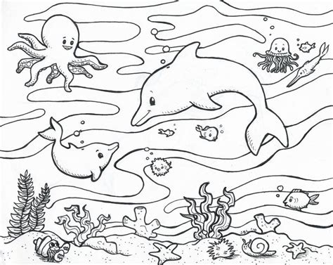 ocean animal printables   ocean animal printables png