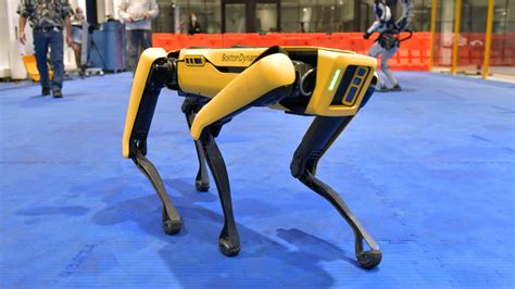 nypds robot dog returns  work touching   backlash
