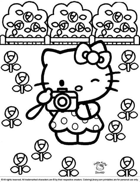 kitty coloring picture  kitty colouring pages  kitty