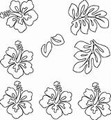 Hawaiian Coloring Flower Wecoloringpage Pages sketch template