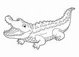 Crocodilo Crocodile Timsah Alligator Book Stok sketch template