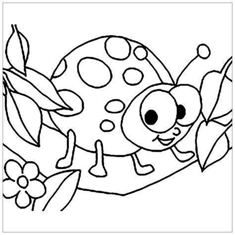insects  color hshrat lltloyn insect coloring pages coloring pages