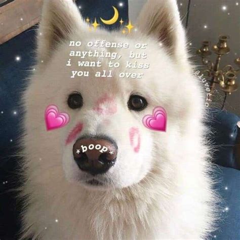 Cute Love Memes Image By Kaitlyn On Wholesome Memes Love