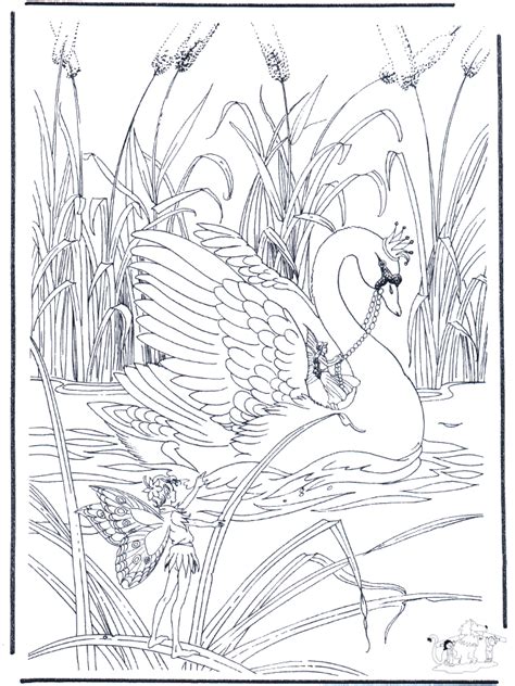schwan ausmalbilder voegel
