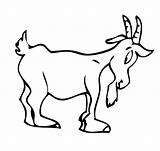 Cabra Cabras Chivas Montesa Capra Granja Dibujar Infantiles Ovejas Cerdos Vacas sketch template