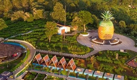 destinasi wisata terbaru   subang menarik  instagramable
