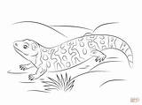 Gila Monster Coloring Pages Cute Printable Sheet Monsters Lizard Kids Print Drawing Color Supercoloring Drawings Adults Animals Choose Board sketch template