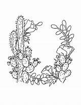 Coloring Succulent Cactus Saguaro Pages Wreath Drawing Printable Color Floral Getdrawings Blossom Getcolorings Colorings sketch template