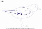 Step Plover Piping sketch template