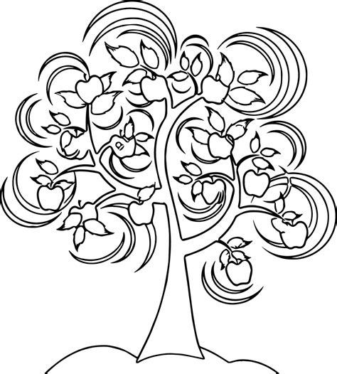 apple tree coloring pages printable coloring pages