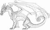 Coloring Pages Wings Fire Rainwing Dragon Icewing Nightwing Dragons Sketch Starwind Template Deviantart Drawing Choose Board Popular Colouring Rain sketch template