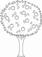 Tree Apple Outline Coloring Clipart Trees Clip Line Drawing Pages Colorable Printable Nature Cliparts Mars Library Drawings Kb sketch template