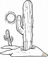 Coloring Desert Pages Sun Clipart Cactus Cactuses Over Supercoloring Printable Drawing Clip Desenho Para Sol Deserto Cacto Cactos Sheets Flower sketch template