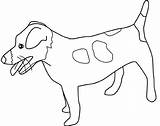 Russell Terrier Cani Coloringpagesforadult Lassie Quando Vengono Dolcezza Usate Matite Segno sketch template