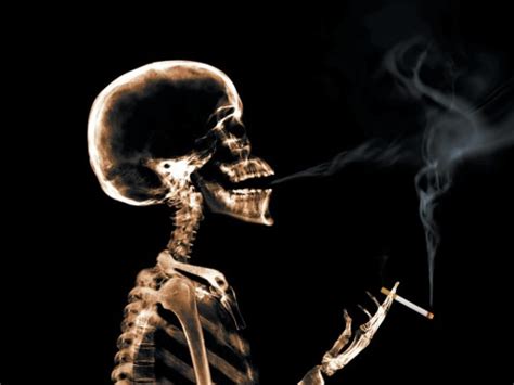 15 creative and really powerful anti smoking ads graphicbubbles