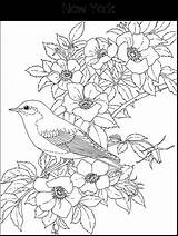 Malvorlagen Ausmalen Pigeon Variados Artesanato Riscos 1891 Blumen Erwachsene Eastern Kidzone Vögel Malbuch Amarna sketch template