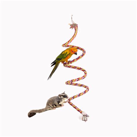 sugar glider parrot bird perch cage rope