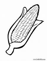 Corn Template Coloring sketch template