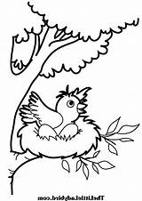 Nest Coloring Bird Pages Robin Drawing Birds Kids Color Jump Clipart Want Printable Cartoon Baby Nests Getdrawings Draw Place Pdf sketch template