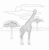 Giraffe Sullo Carino Adulti Giraffa Paesaggio Savane Scheda sketch template