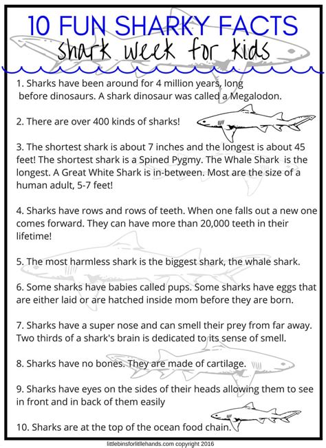 shark activities  preschoolers  bins   hands
