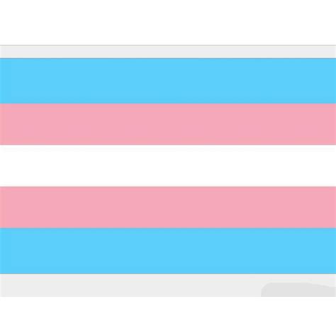 3x5ft rainbow transgender pride flag gay lesbian lgbt 90 145cm