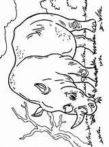 Neushoorn Kleurplaat Rhinoceros Stemmen sketch template