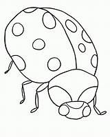 Coloring Pages Bugs Bug Popular sketch template