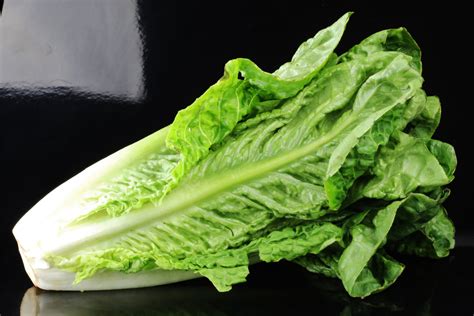 stay   romaine lettuce consumer reports advises nbc news