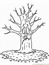 Coloring Trees Pages Printable Trees1 Color Online Tree Para Otono Natural Dibujos Colorear sketch template