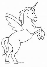 Licorne Einhorn Pegase Personnages Fairy Jecolorie Wings Gratuit Malvorlagen Malvorlage Pferde Coloriages Imprimé Danieguto sketch template
