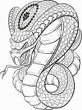 Cobra Coloring Cobras Snakes Tatuagem Guardado Mustang sketch template