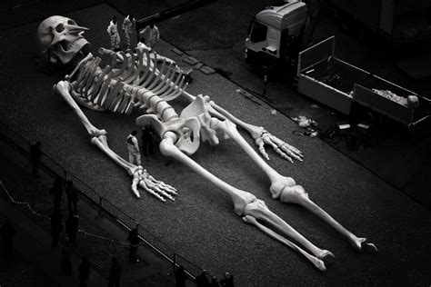 giant skeleton  giant skeleton sculpture pictured  flickr