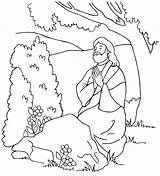 Jesus Praying Coloring Pages Miracles Colorig Color Because Garden Printable Colorluna Christ Print Getcolorings Sunday School Luna Lds Getdrawings sketch template