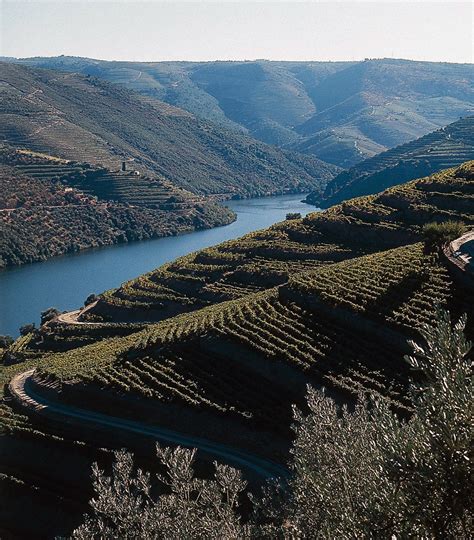 douro valley tourism portugal