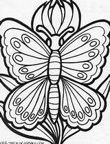 Coloring Pages Embroidery Patterns Needlework Quilts Dragonflies Colouring Butterfly Boards Printables sketch template