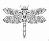 Coloring Dragonfly Zentangle sketch template
