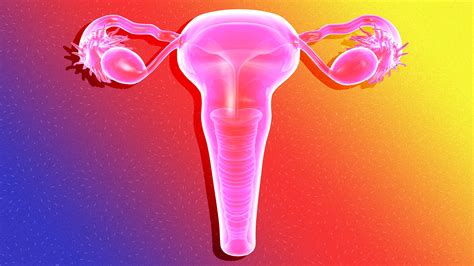 So Your Pap Smear Results Were Abnormal — Now What Sheknows