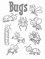 Bugs Coloring Pages Bug Insect Insects Sheets Preschool Printable Colouring Worksheets Activities Kids Sheet Funnycrafts Spring Little Print Template Funny sketch template