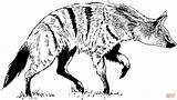 Hyena Realistic Supercoloring sketch template