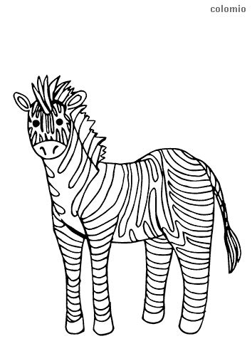 zebras coloring pages  printable zebra coloring sheets
