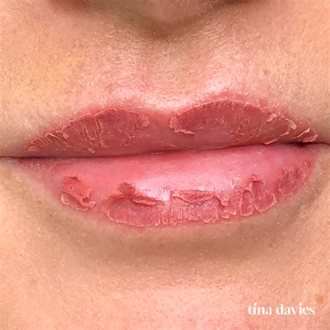 Lip Blush Healing Day By Day Tina Davies Uk Vat 229884558