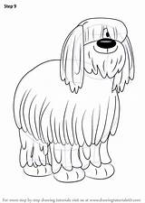 Pound Niblet Sheepdog Drawingtutorials101 sketch template
